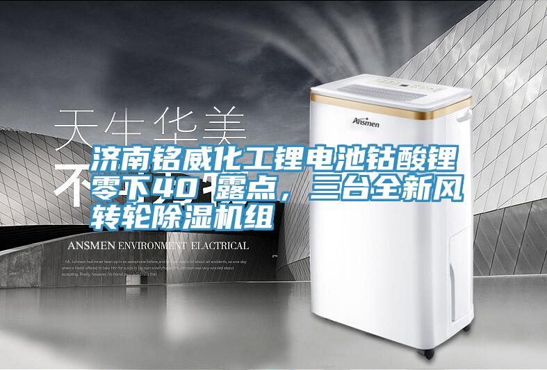 濟南銘威化工鋰電池鈷酸鋰零下40℃露點，三臺全新風轉輪除濕機組