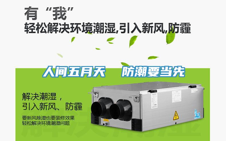人間五月天 防潮要當先
