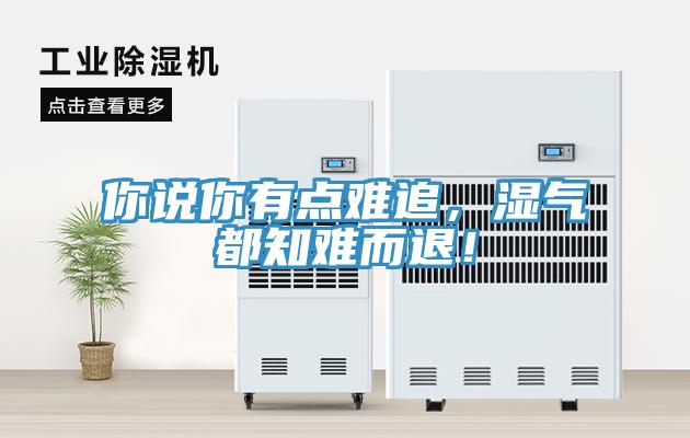 你說你有點難追，濕氣都知難而退！