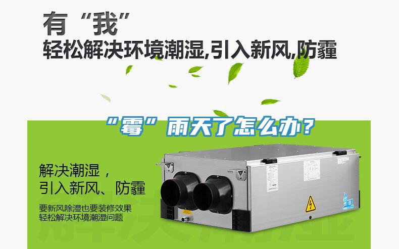 “霉”雨天了怎么辦？
