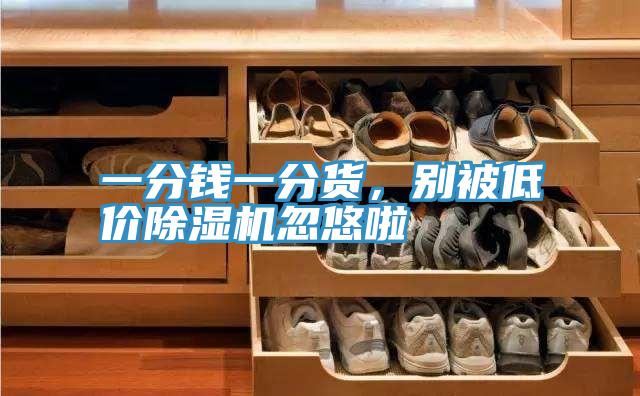一分錢一分貨，別被低價除濕機忽悠啦