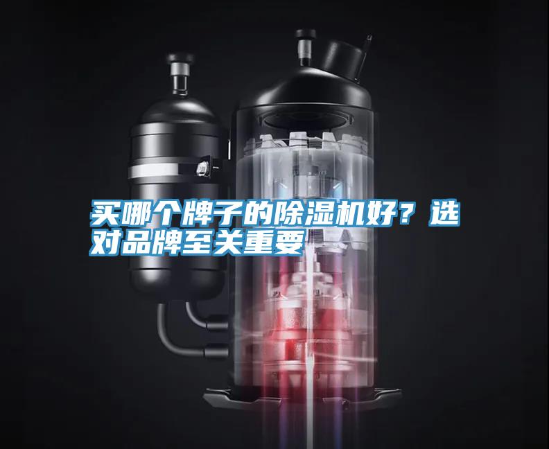 買哪個牌子的除濕機好？選對品牌至關重要
