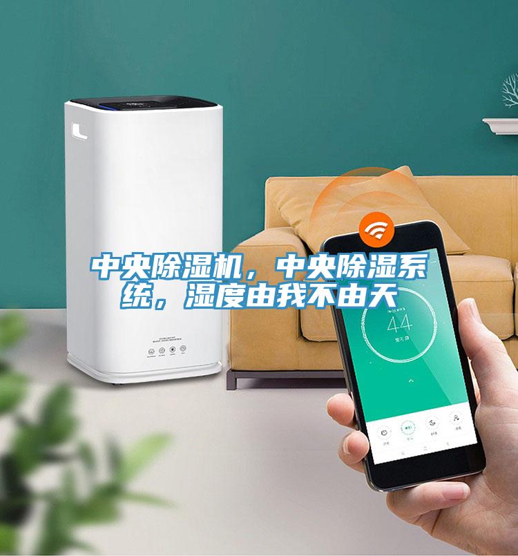 中央除濕機(jī)，中央除濕系統(tǒng)，濕度由我不由天