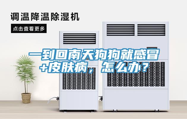 一到回南天狗狗就感冒+皮膚病，怎么辦？