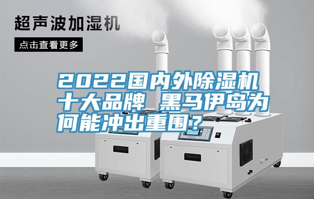 2022國內外除濕機十大品牌 黑馬伊島為何能沖出重圍？