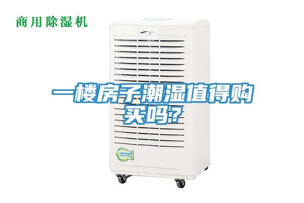一樓房子潮濕值得購買嗎？