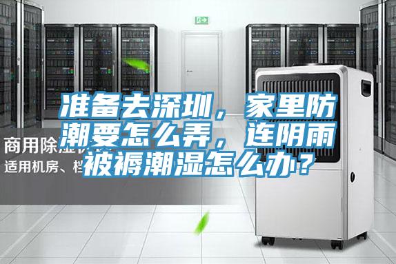 準備去深圳，家里防潮要怎么弄，連陰雨被褥潮濕怎么辦？