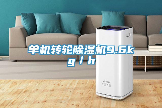 單機轉輪除濕機9.6kg/h
