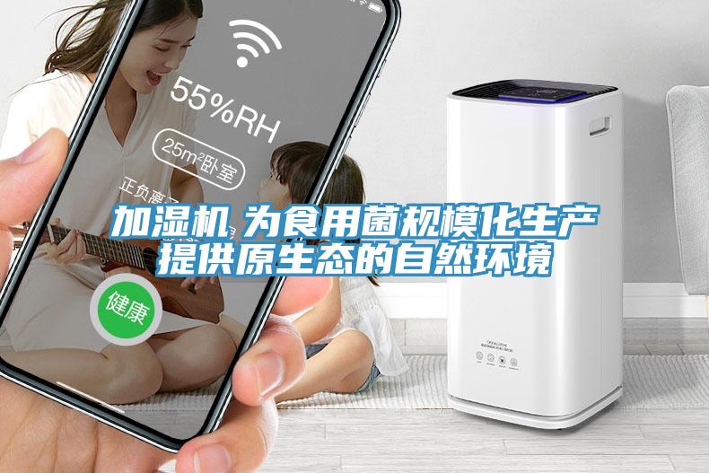 加濕機　為食用菌規?；a提供原生態的自然環境