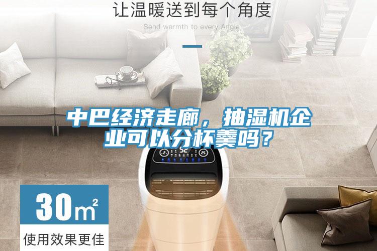 中巴經(jīng)濟(jì)走廊，抽濕機(jī)企業(yè)可以分杯羹嗎？