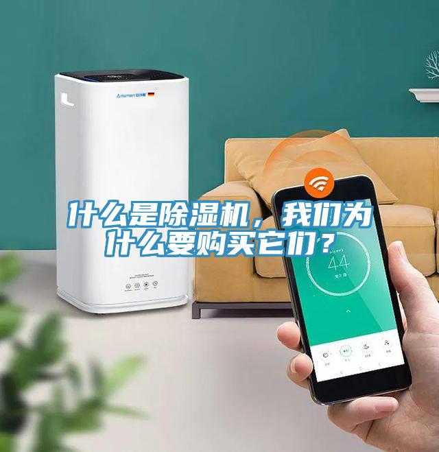 什么是除濕機，我們為什么要購買它們？