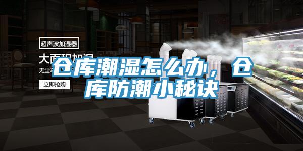 倉(cāng)庫(kù)潮濕怎么辦，倉(cāng)庫(kù)防潮小秘訣