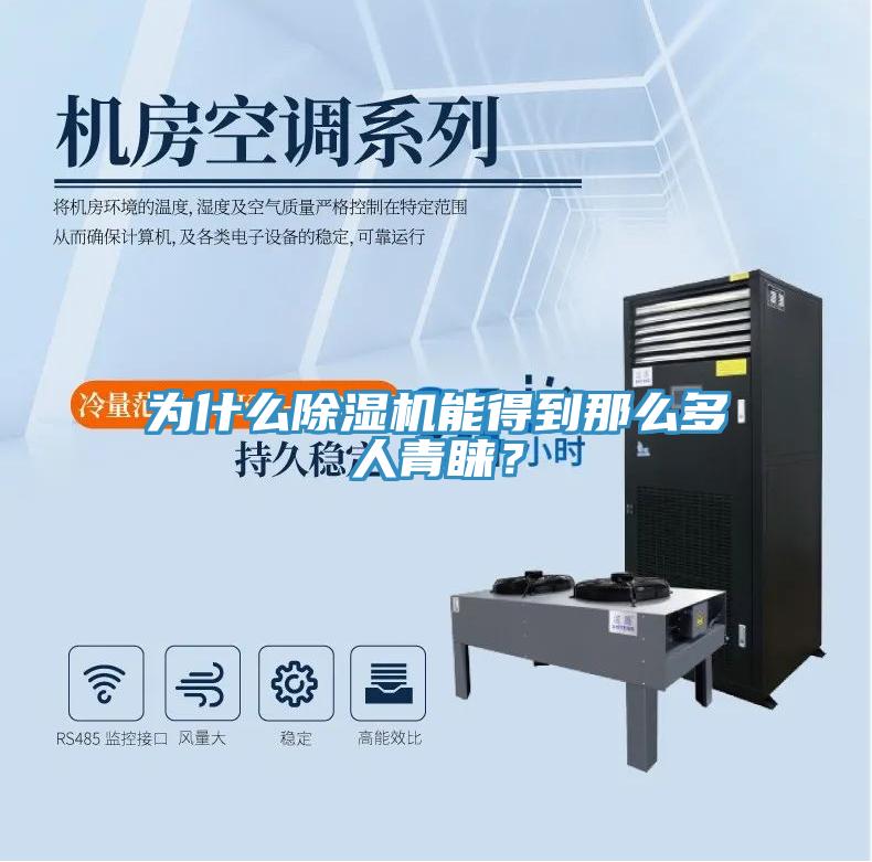 為什么除濕機能得到那么多人青睞？