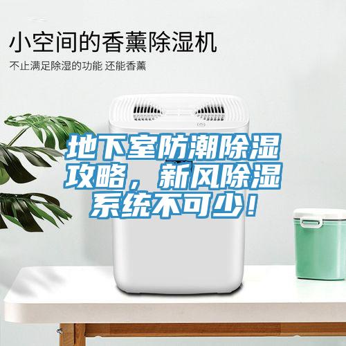 地下室防潮除濕攻略，新風(fēng)除濕系統(tǒng)不可少！