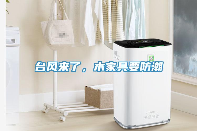 臺風來了，木家具要防潮