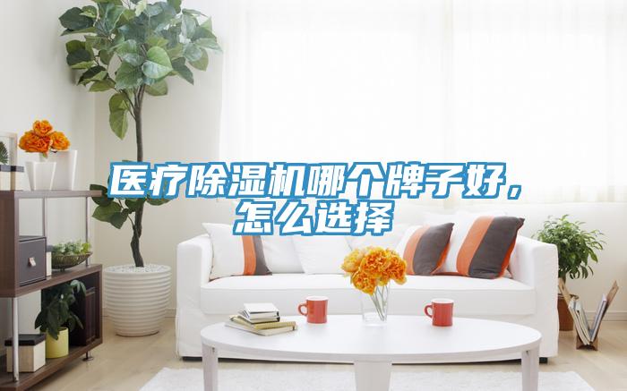 醫療除濕機哪個牌子好，怎么選擇