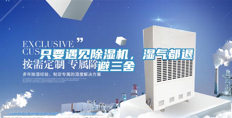只要遇見除濕機，濕氣都退避三舍