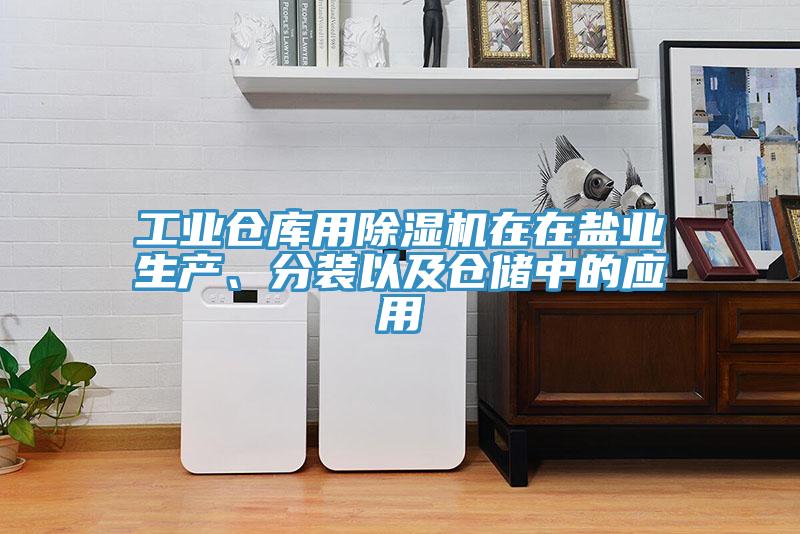 工業(yè)倉庫用除濕機在在鹽業(yè)生產、分裝以及倉儲中的應用