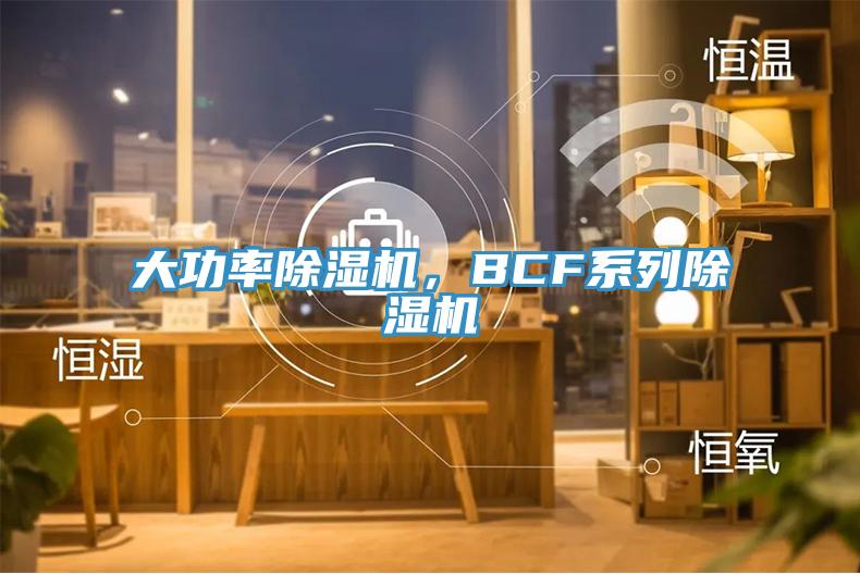 大功率除濕機，BCF系列除濕機
