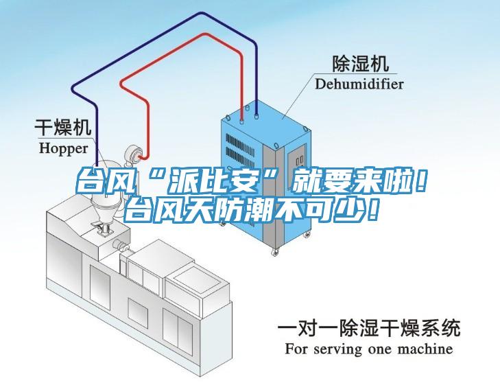 臺風“派比安”就要來啦！臺風天防潮不可少！