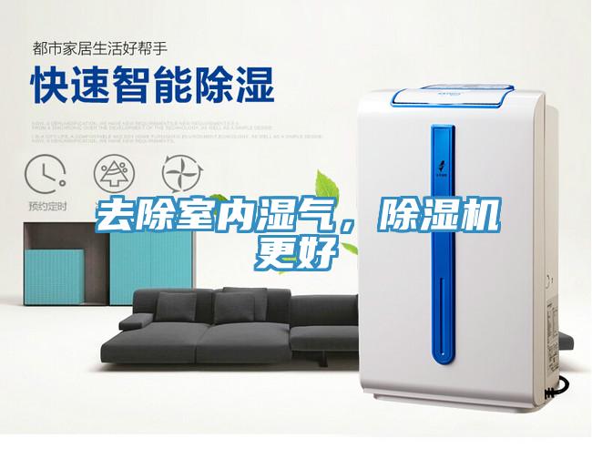去除室內濕氣，除濕機更好
