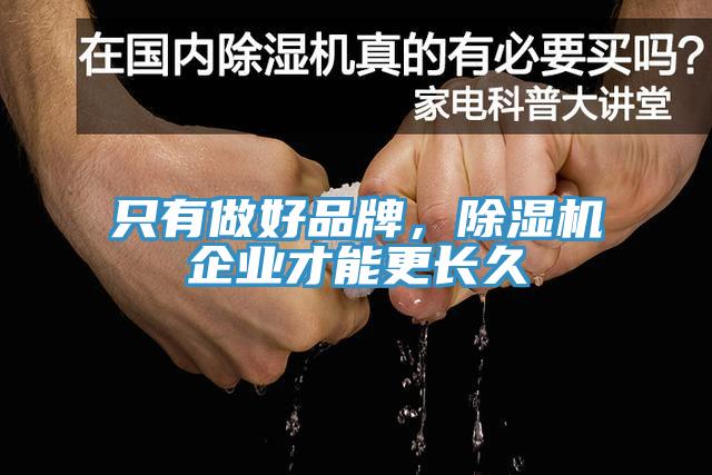只有做好品牌，除濕機企業(yè)才能更長久