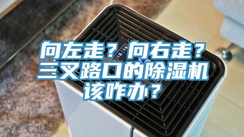 向左走？向右走？三叉路口的除濕機該咋辦？
