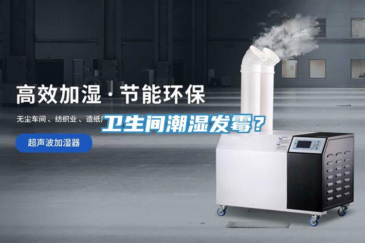 衛生間潮濕發霉？