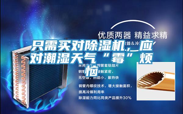 只需買對除濕機，應對潮濕天氣“霉”煩惱
