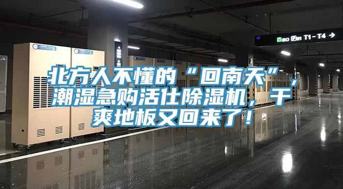 北方人不懂的“回南天”，潮濕急購(gòu)活仕除濕機(jī)，干爽地板又回來(lái)了！