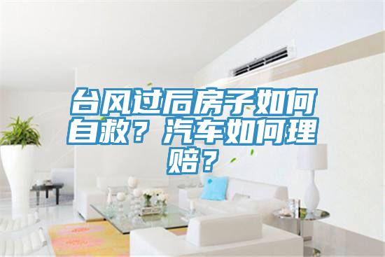 臺風過后房子如何自救？汽車如何理賠？