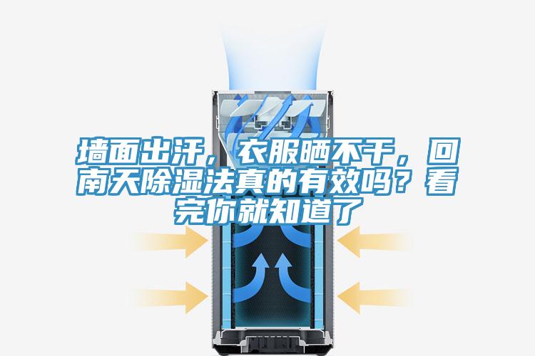墻面出汗，衣服曬不干，回南天除濕法真的有效嗎？看完你就知道了