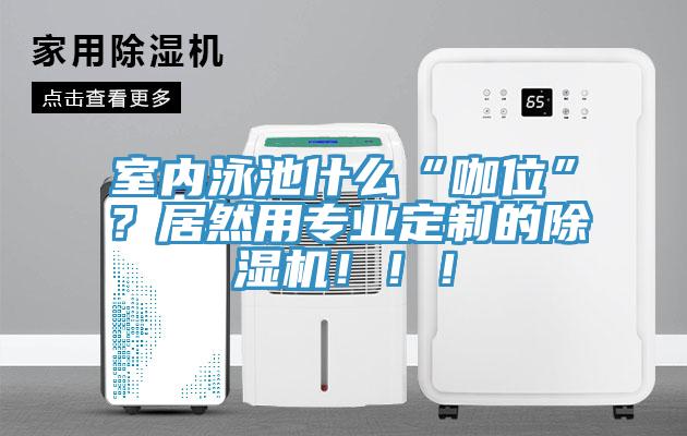 室內(nèi)泳池什么“咖位”？居然用專業(yè)定制的除濕機！！！