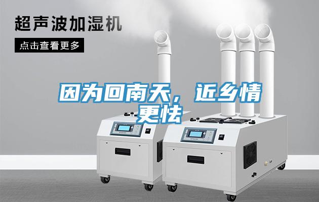 因為回南天，近鄉(xiāng)情更怯