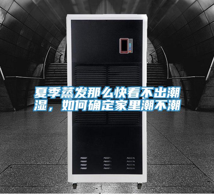 夏季蒸發那么快看不出潮濕，如何確定家里潮不潮