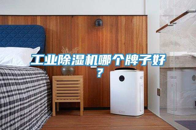 工業除濕機哪個牌子好？