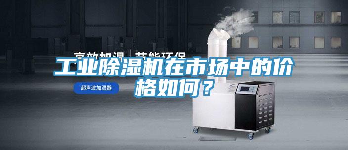 工業除濕機在市場中的價格如何？