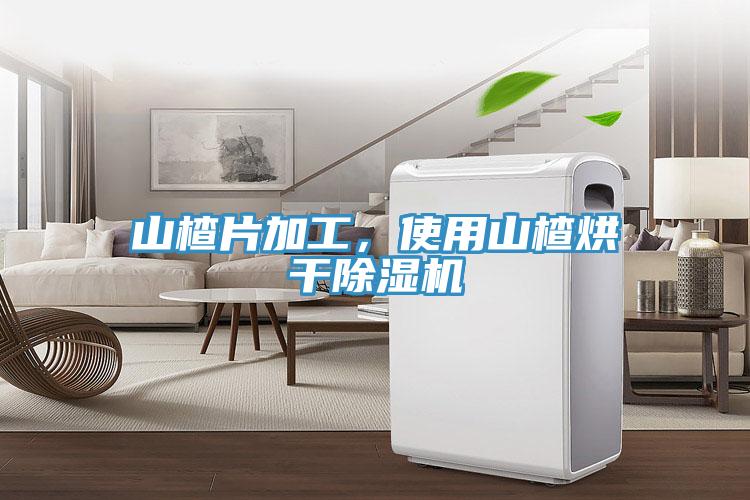 山楂片加工，使用山楂烘干除濕機