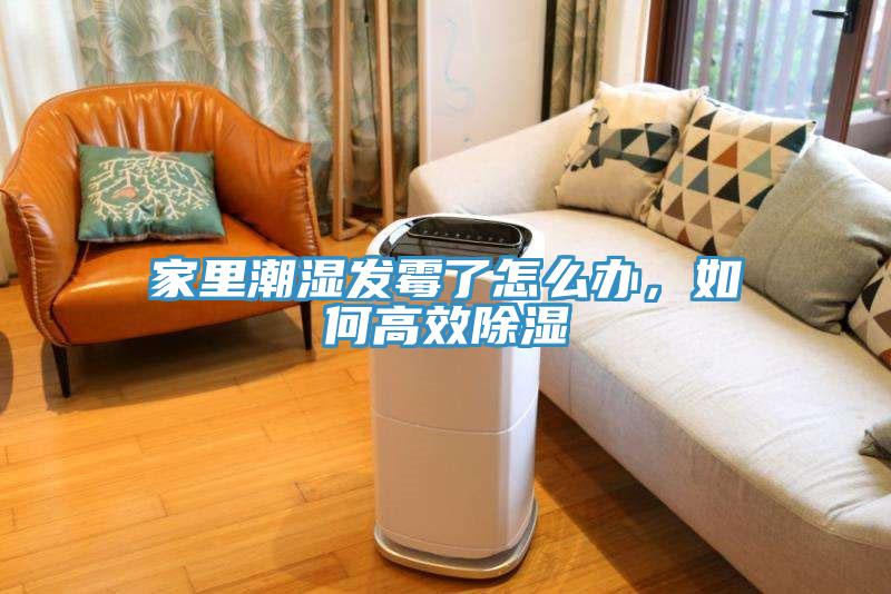 家里潮濕發霉了怎么辦，如何高效除濕