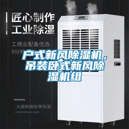 戶式新風除濕機，吊裝臥式新風除濕機組