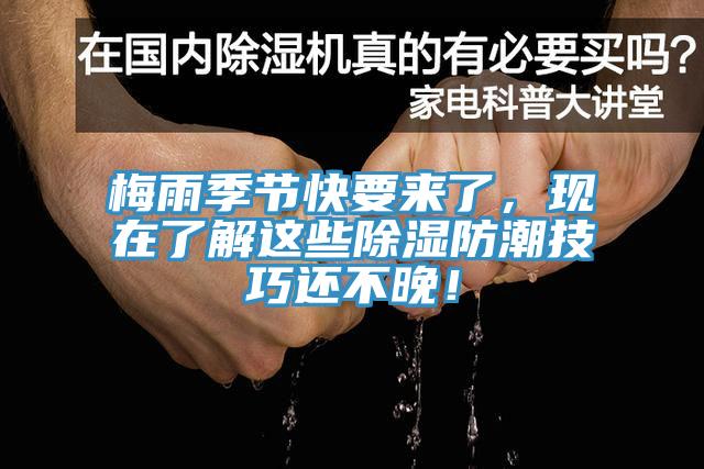 梅雨季節(jié)快要來了,現在了解這些除濕防潮技巧還不晚!
