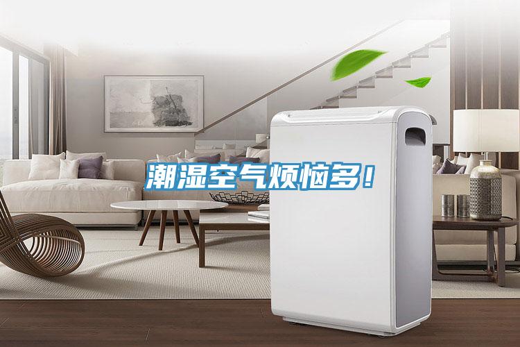 潮濕空氣煩惱多！