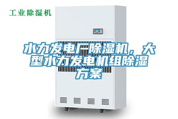 水力發(fā)電廠除濕機,大型水力發(fā)電機組除濕方案
