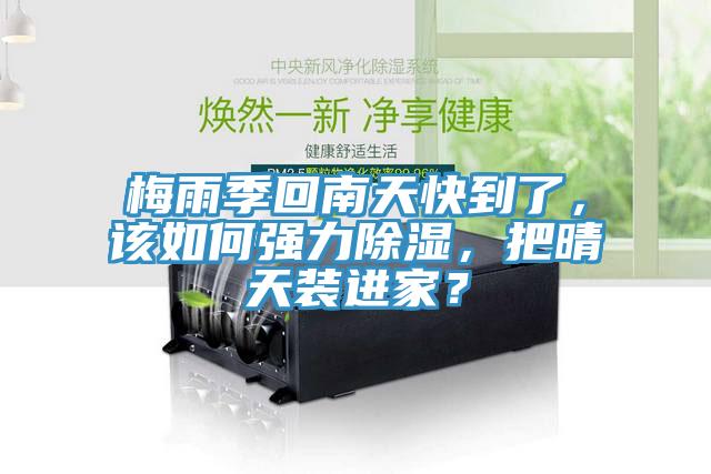梅雨季回南天快到了，該如何強力除濕，把晴天裝進家？