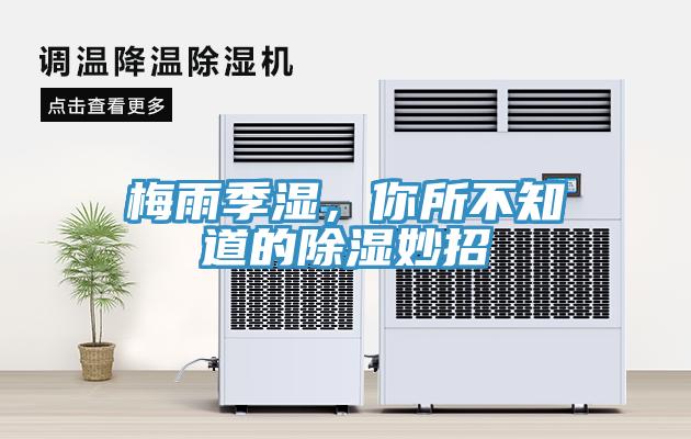 梅雨季濕,你所不知道的除濕妙招