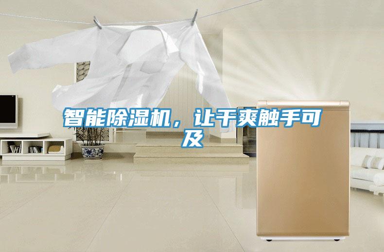 智能除濕機，讓干爽觸手可及