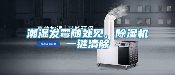 潮濕發(fā)霉隨處見，除濕機(jī)一鍵清除