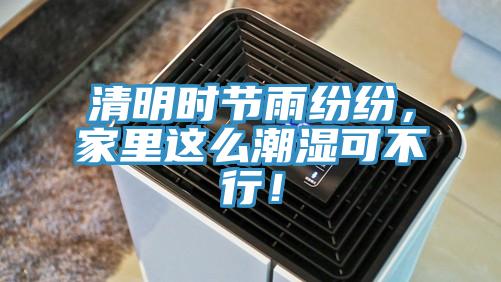 清明時節雨紛紛，家里這么潮濕可不行！