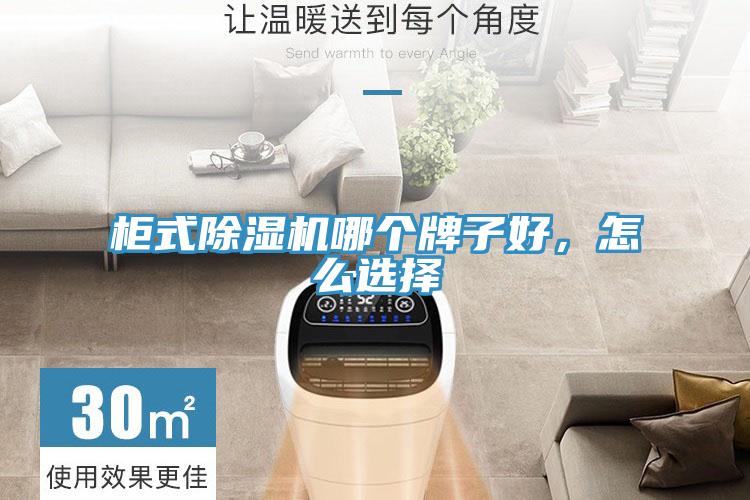 柜式除濕機(jī)哪個牌子好，怎么選擇