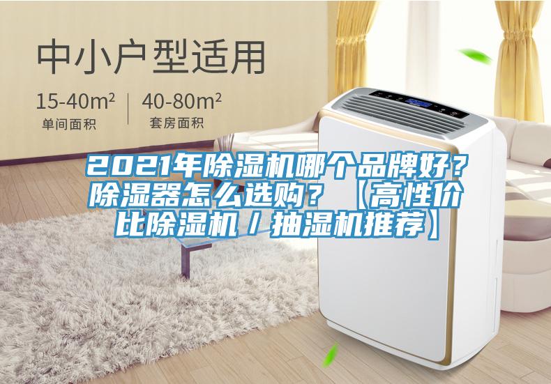 2021年除濕機哪個品牌好？除濕器怎么選購？【高性價比除濕機／抽濕機推薦】